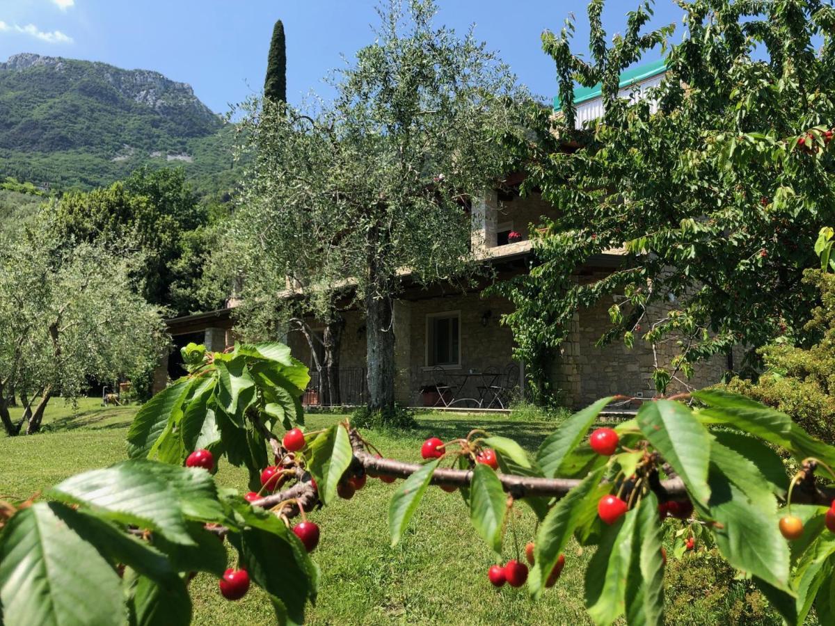 La Cascata Negli Ulivi Bed & Breakfast Toscolano Maderno Exterior foto