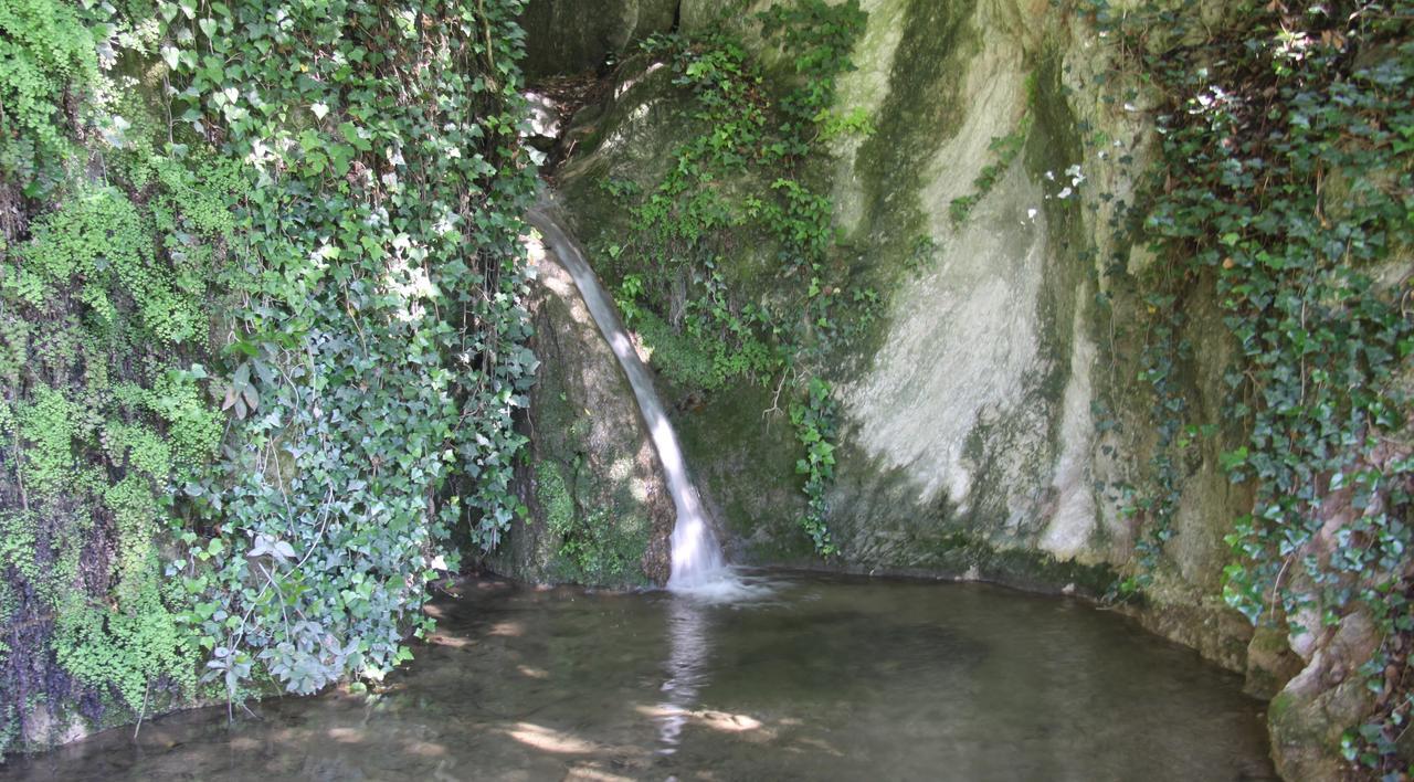 La Cascata Negli Ulivi Bed & Breakfast Toscolano Maderno Exterior foto