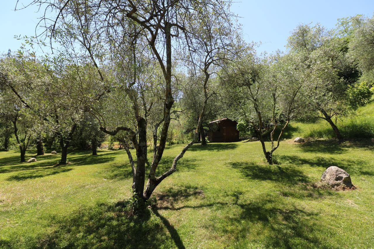 La Cascata Negli Ulivi Bed & Breakfast Toscolano Maderno Exterior foto