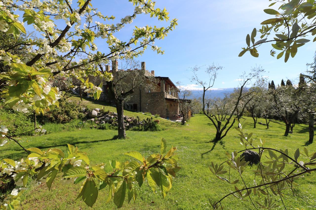La Cascata Negli Ulivi Bed & Breakfast Toscolano Maderno Exterior foto