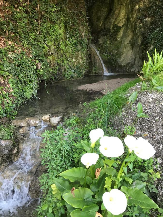 La Cascata Negli Ulivi Bed & Breakfast Toscolano Maderno Exterior foto