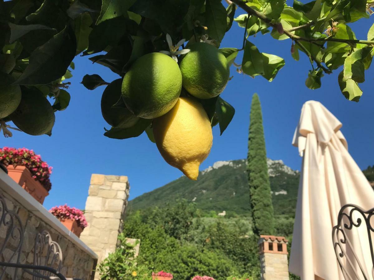 La Cascata Negli Ulivi Bed & Breakfast Toscolano Maderno Exterior foto
