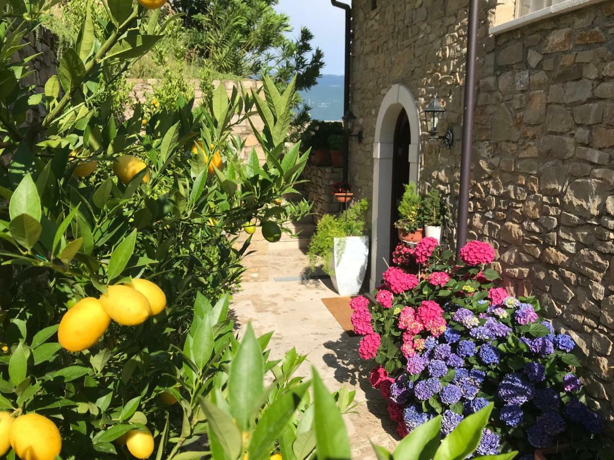 La Cascata Negli Ulivi Bed & Breakfast Toscolano Maderno Exterior foto