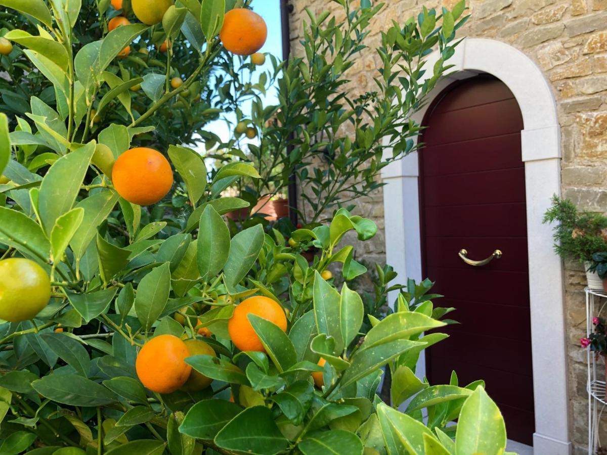La Cascata Negli Ulivi Bed & Breakfast Toscolano Maderno Exterior foto